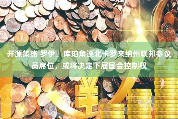 开源策略 罗伊・库珀角逐北卡罗来纳州联邦参议员席位，或将决定下届国会控制权